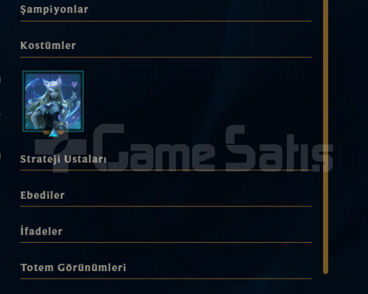 40 LEVEL / PLAT / KALİTELİ KOSTÜMLER
