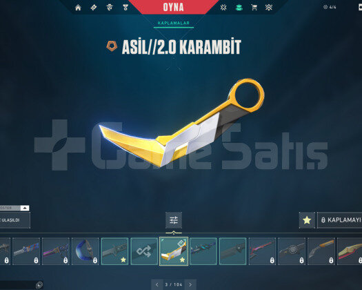 UZAY AVCI/ASİL KARAMBİT/KAOS E-POSTA HESAP