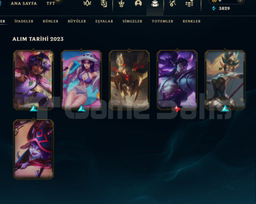 ELLE KASILMIŞ / KALİTELİ KOSTÜMLER / GOLD 1