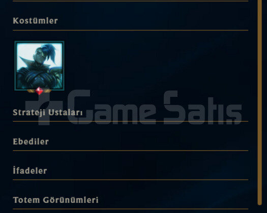 ELLE KASILMIŞ / KALİTELİ KOSTÜMLER / GOLD 1