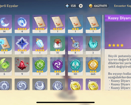İtto / Zhongli / Raiden AR56 BU FİYAT KAÇMAZ.