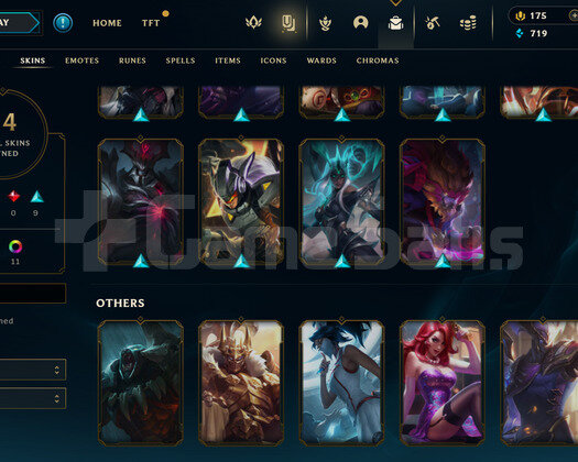 TR Zümrüt 4 | 14 Kostüm - 62 Hero | LoL Hesap