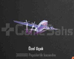 300K POP ÖZEL UÇAK ANINDA TESLİMAT