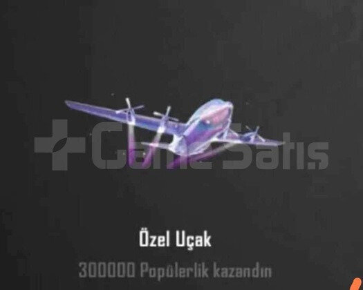 300K POP ÖZEL UÇAK ANINDA TESLİMAT