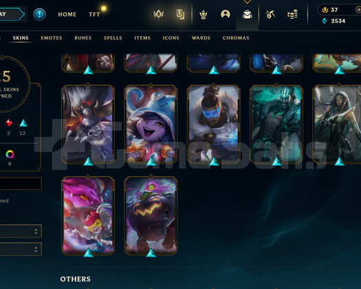 TR Zümrüt 1 | 25 Kostüm - 73 Hero | LoL Hesap