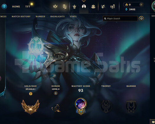 TR Gold 1 | 11 Kostüm - 37 Hero | LoL Hesap