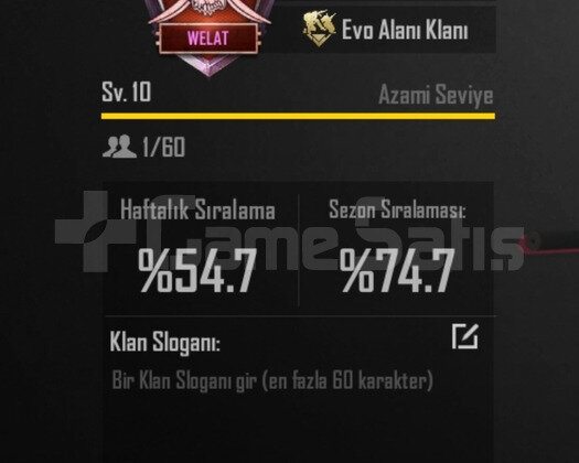 10 SEVİYE KLAN İSİM AKTİF 5 DAKİKADA TESLİMAT