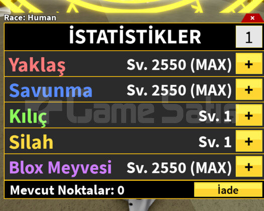 bloxfruit 2 adet st max level hesap