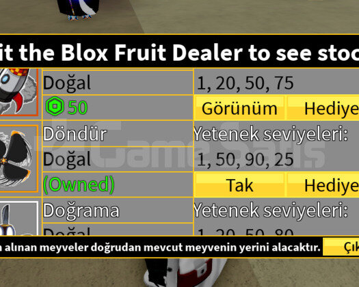 bloxfruit 2 adet st max level hesap