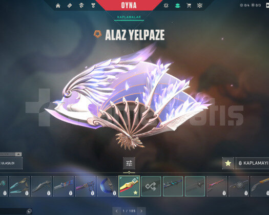 ALAZ YELPAZE/RGX/YAĞMACI E-POSTA HESAP