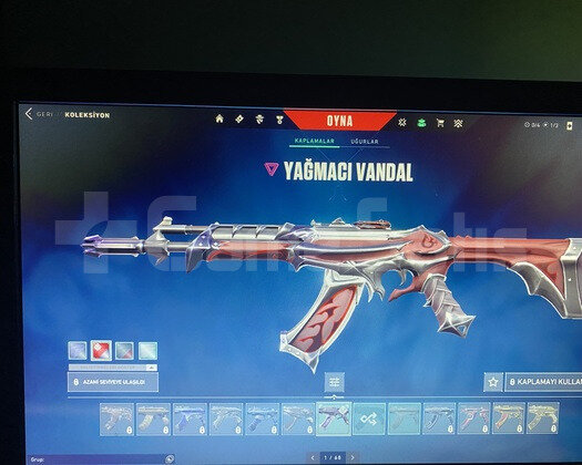Yağmacı Vandal Hesap