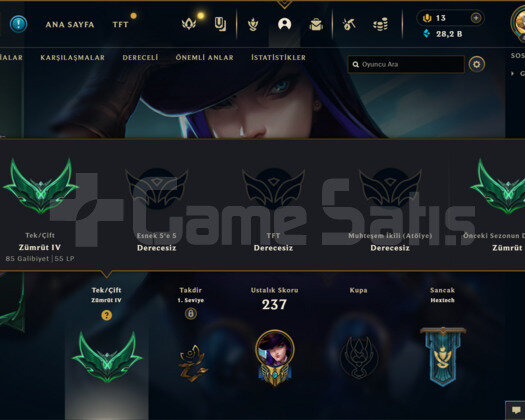 115 KOSTÜM/28K ÖZ/417 LEVEL EUW E-POSTA HESAP
