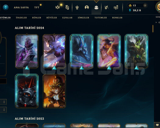115 KOSTÜM/28K ÖZ/417 LEVEL EUW E-POSTA HESAP
