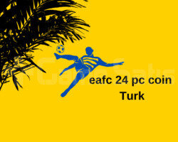Eafc 24 pc coin 3m