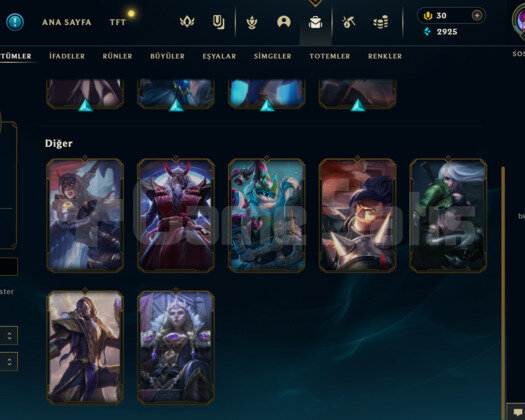 LOL PLAT 3 HANDMADE 11 SKİNLİ MAİL DEĞİŞEN HESAPPP