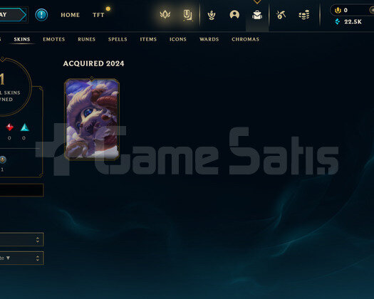 TR Unranked | 1 Kostüm - 22K Mö | LoL Hesap