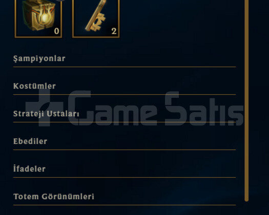 63 LEVEL / BOL KOSTÜM / GOLD 2