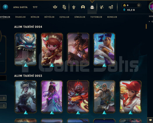 167 KOSTÜM/45K ÖZ/348 LEVEL EUW E-POSTA HESAP