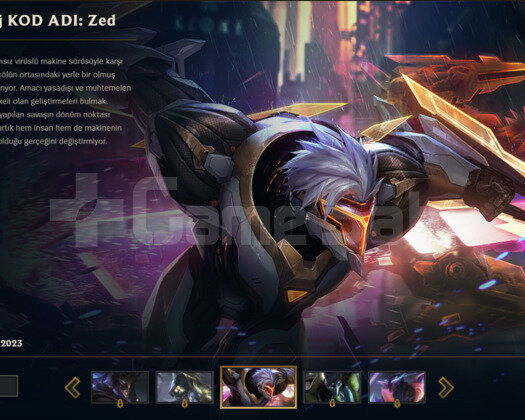 PRESTIJ ZEDLI HESAP