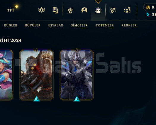 2022 KURULUM / 28 BİN MAVİ ÖZ / WEST