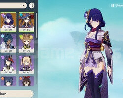 10x5 raiden yelan yae miko c1mona