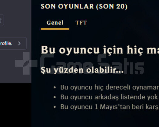 2015 KURULUM 47 ŞAMPİYON HANDMADE LOL HESABI