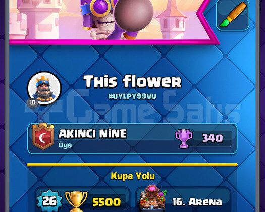 Bombacı Evrimli X-Yayı