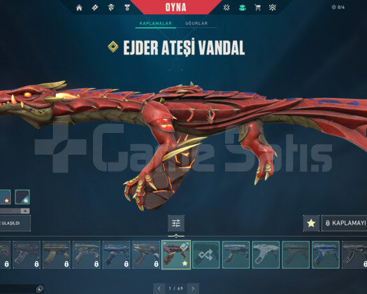 YAĞMACI KARAMBİT/EJDER/SPECTRUM E-POSTA HESAP