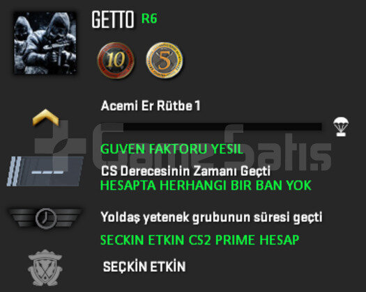 10 + 5 YIL JETONLU YEŞİL FAKTÖR CSGO PRİME HESAP