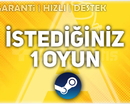 İSTEDİĞİNİZ 1 OYUN + GARANTİ + DESTEK