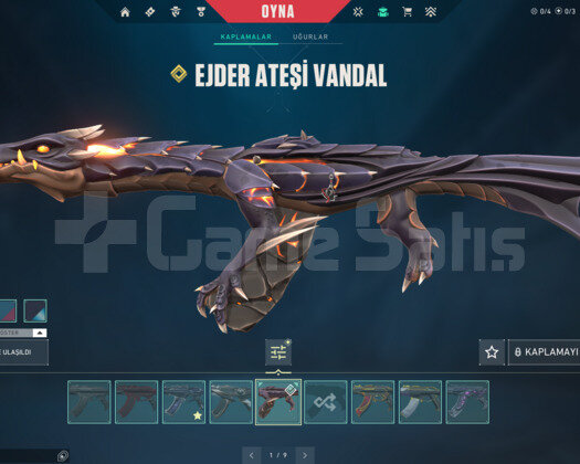 RGX KELEBEK/DELİPOP BIÇAK/EJDER E-POSTA HESAP