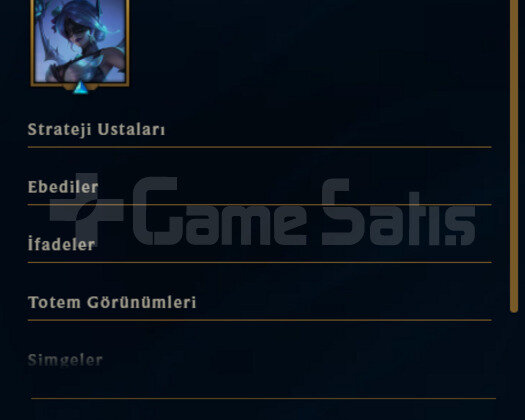 2022 KURULUM / 3500 TURUNCU ÖZ / WEST