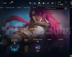 TR Plat 2 | 5 Kostüm - 42 Hero | LoL Hesap
