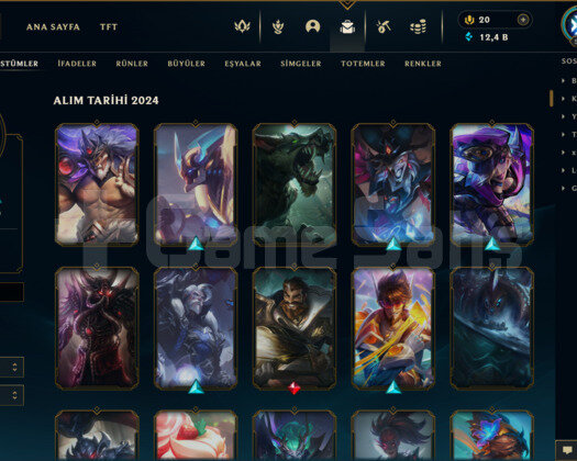 276 KOSTÜM/516 LEVEL/ 4 EBEDİ EUW E-POSTA HESAP