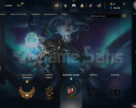 TR Gold 1 | 1 Kostüm - 22K Mö | LoL Hesap
