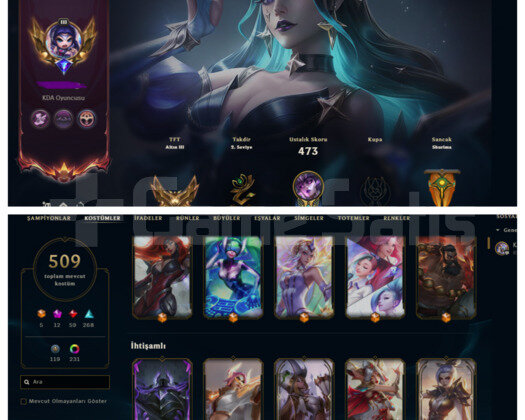 LOL+VALO+TFT 509 SKİN ELİT HESAP