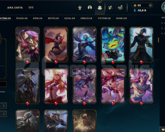 460 LVL ZÜMRÜT 4 HESAP