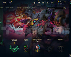 TR Zümrüt 4 | 9 Kostüm - 32 Hero | LoL Hesap