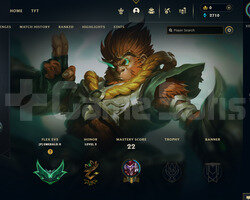 TR Flex Zümrüt 2 | 1 Kostüm 29 Hero | LoL Hesap