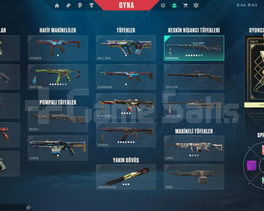 CHAMPİONS KELEBEK/KAOS/SPECTRUM E-POSTA HESAP