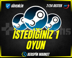 İstediğiniz 1 Oyun + Garanti + Destek