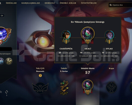 EUW HANDMADE LOL HESABI