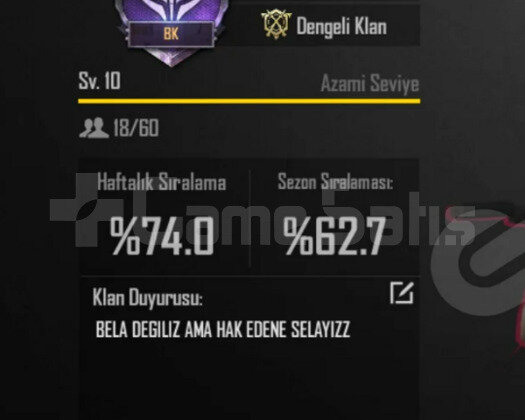 10 SEVİYE KLAN 5 DAKİKADA TESLİMAT