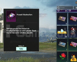 21 K POP ARTI 5 ALTIN BİLET