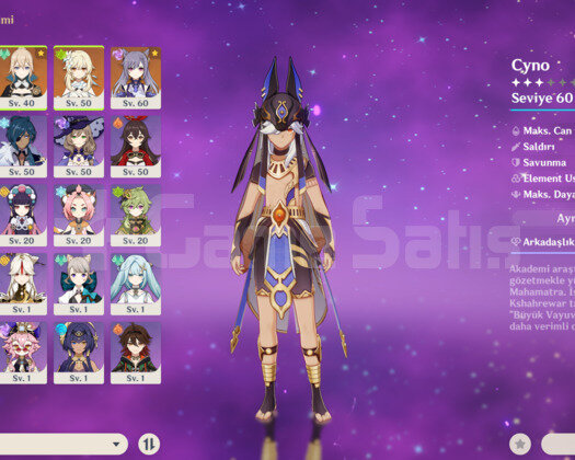 C3 Cyno ve Nahida+Amos Bow