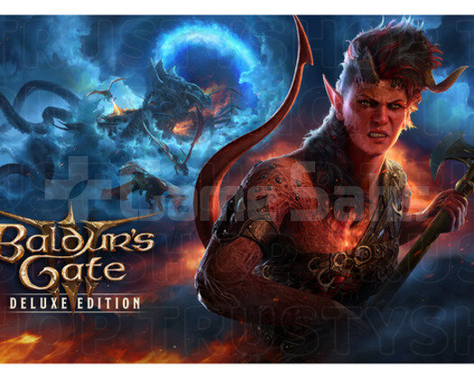Baldurs Gate 3 Deluxe Edition & Ömür Boyu Garanti