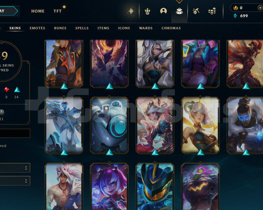 EUW 113 LEVEL -60 HERO 39 KOSTÜM HANDMADE HESAP