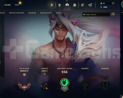 EUW 113 LEVEL -60 HERO 39 KOSTÜM HANDMADE HESAP