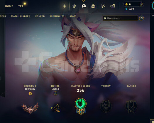 EUW 113 LEVEL -60 HERO 39 KOSTÜM HANDMADE HESAP