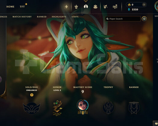 EUW Unranked | 4 Kostüm - 45 Hero | LoL Hesap